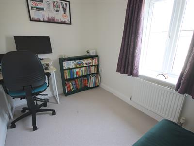 Picture 13